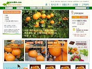 제주농수산직거래장..