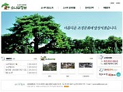 소나무정보