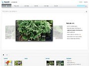 연꽃과수련 백운산..