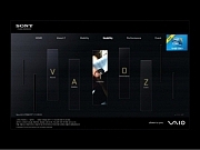 소니 VIO Z